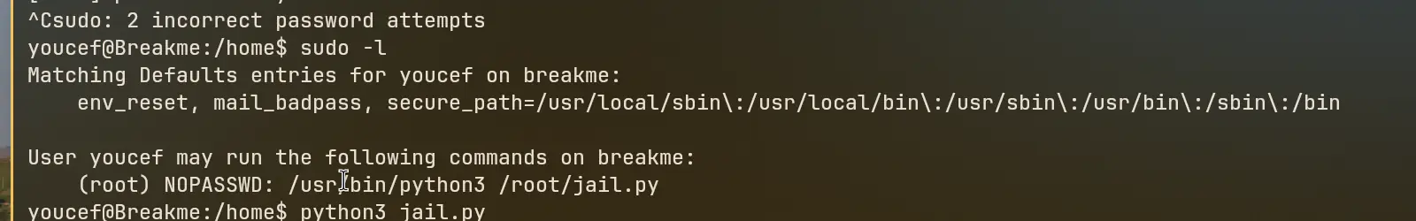 Sudo Privileges Output