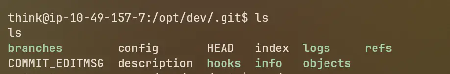Opt Dev Directory